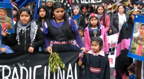 Listes des prisonniers politiques mapuches au 31/01/2014
