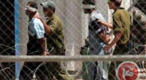 Des témoignages de l’intérieur de la prison de « Megiddo » décrivent l’horreur des persécutions commises par Israël contre des enfants prisonniers