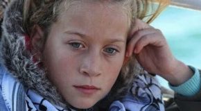 Le frère de l’icône palestinienne Ahed Tamimi condamné